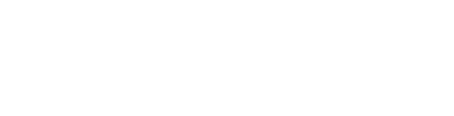 Travis Arnesen White Website Logo